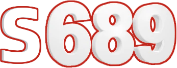 vns689.net Logo